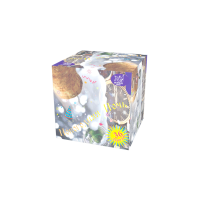 Новогодняя ночь Салют купить в Калуге | kaluga.salutsklad.ru