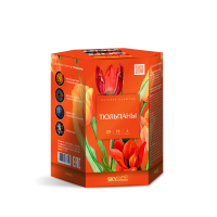 Тюльпаны Салют купить в Калуге | kaluga.salutsklad.ru
