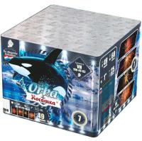 Косатка Фейерверк купить в Калуге | kaluga.salutsklad.ru