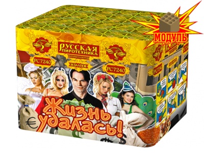 Жизнь удалась Фейерверк купить в Калуге | kaluga.salutsklad.ru