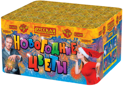 Новогодние цветы Фейерверк купить в Калуге | kaluga.salutsklad.ru
