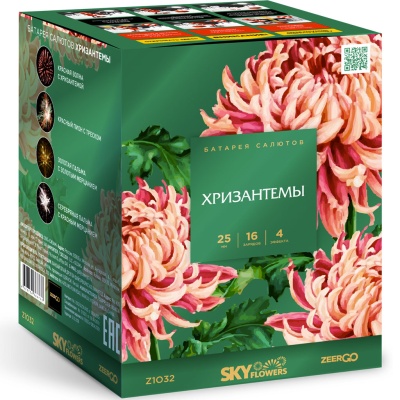 Хризантемы Фейерверк купить в Калуге | kaluga.salutsklad.ru