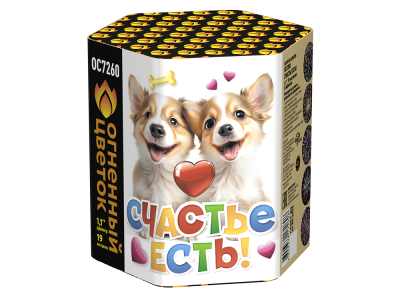 Счастье есть! Салют купить в Калуге | kaluga.salutsklad.ru