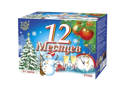 12 Месяцев Фейерверк купить в Калуге | kaluga.salutsklad.ru