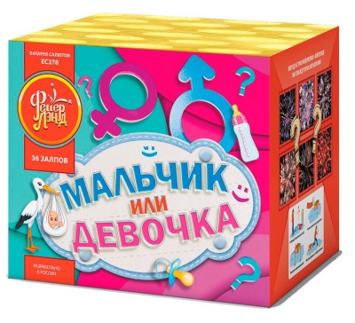 Мальчик или девочка М Фейерверк купить в Калуге | kaluga.salutsklad.ru